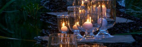 Psychic Carla Baron banner