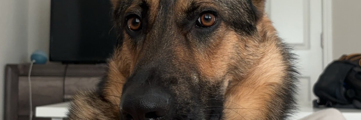 Kristan__Rincon's profile banner image