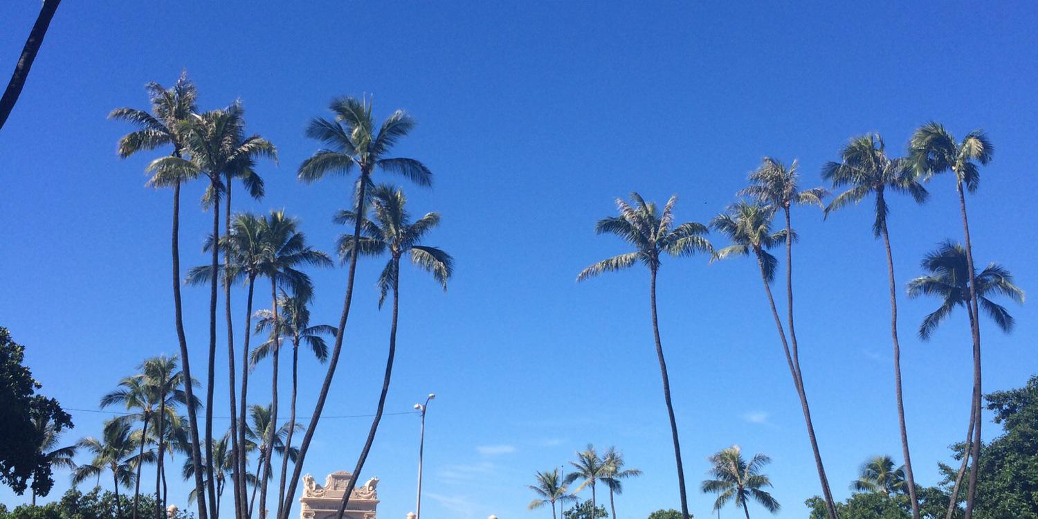 coconashop867's profile banner image