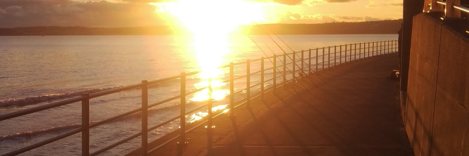 ChrisyWills's profile banner image
