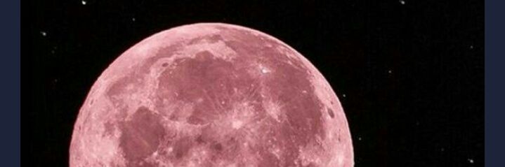 GiupponiGiuli's profile banner image