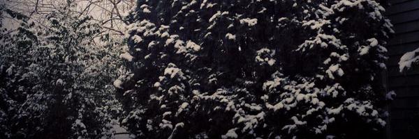 shashank__daven's profile banner image