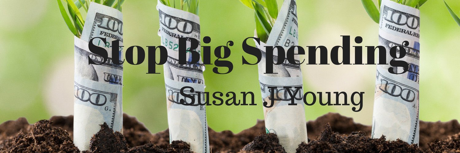 suejyoung's profile banner image