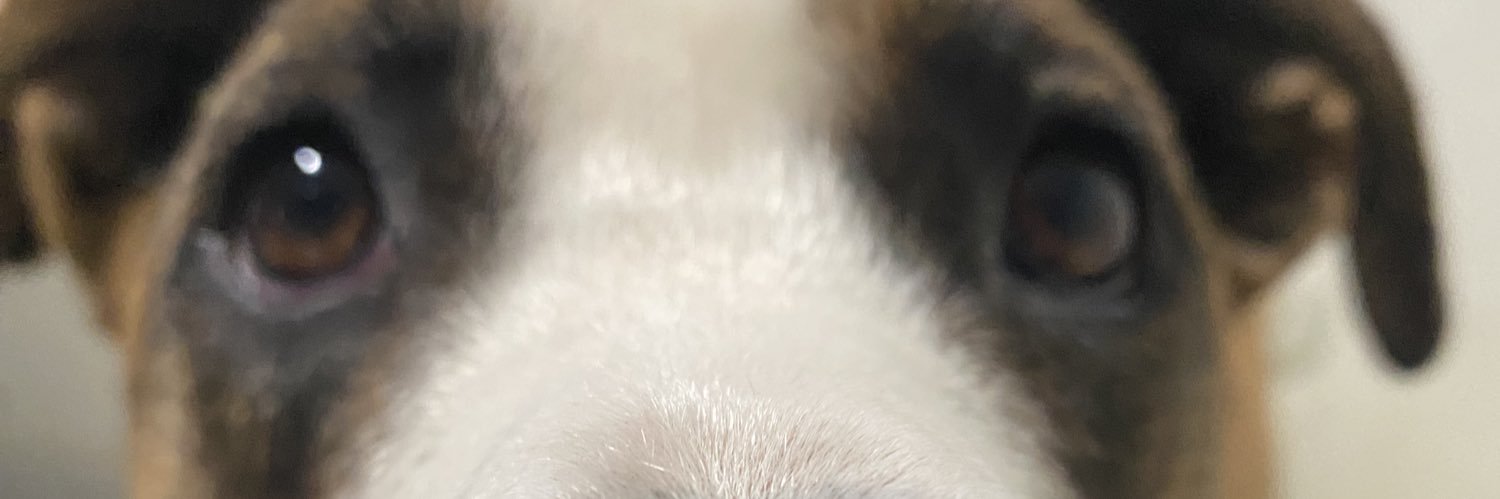 ToledoVictoriaa's profile banner image