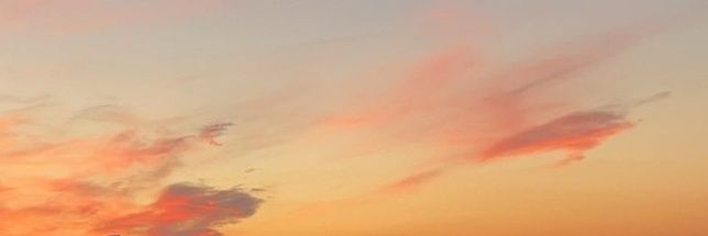 Sara banner