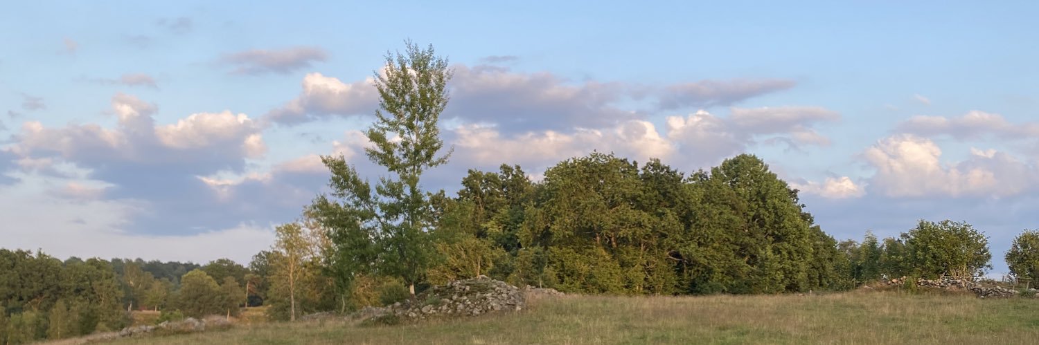 FavidDirmager's profile banner image