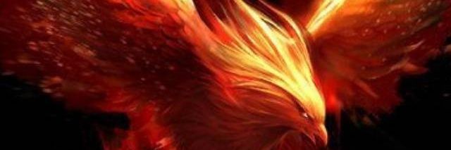 jfraser31's profile banner image