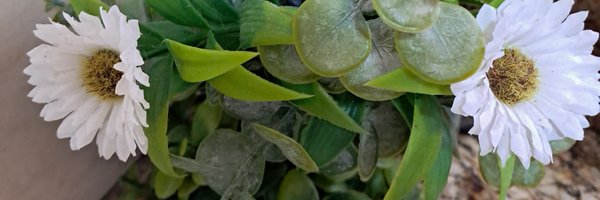 luvaconde Profile Banner