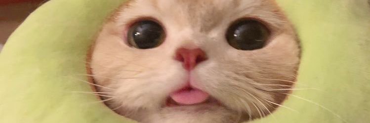 MaevaneFlavigni's profile banner image