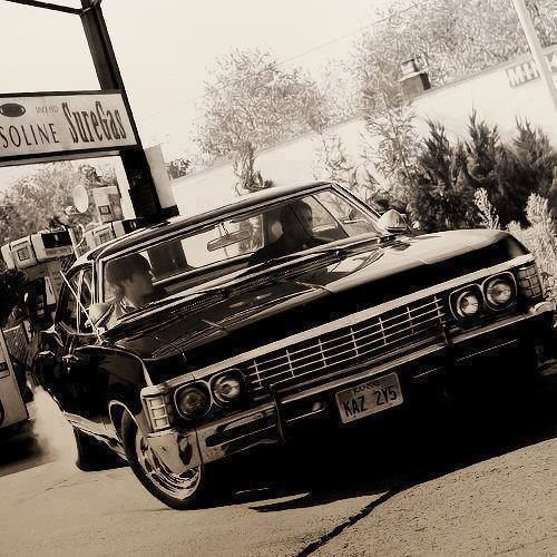 ARImpala's profile banner image
