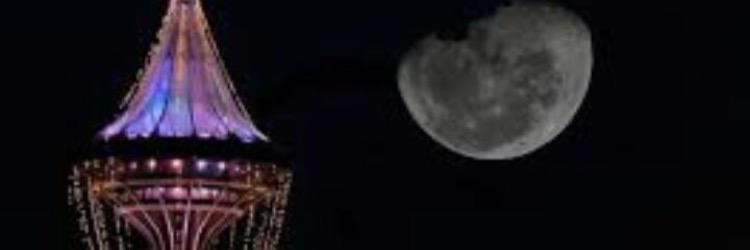 W_502__d's profile banner image