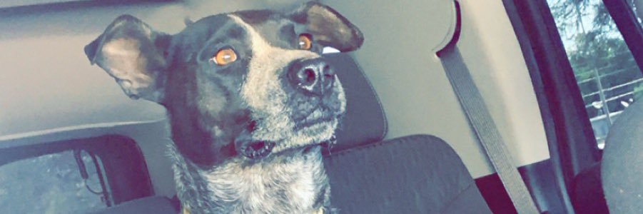 traelynnn's profile banner image