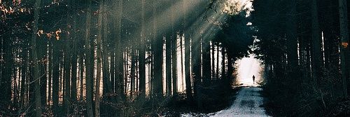 PleaseLetMeDie2's profile banner image