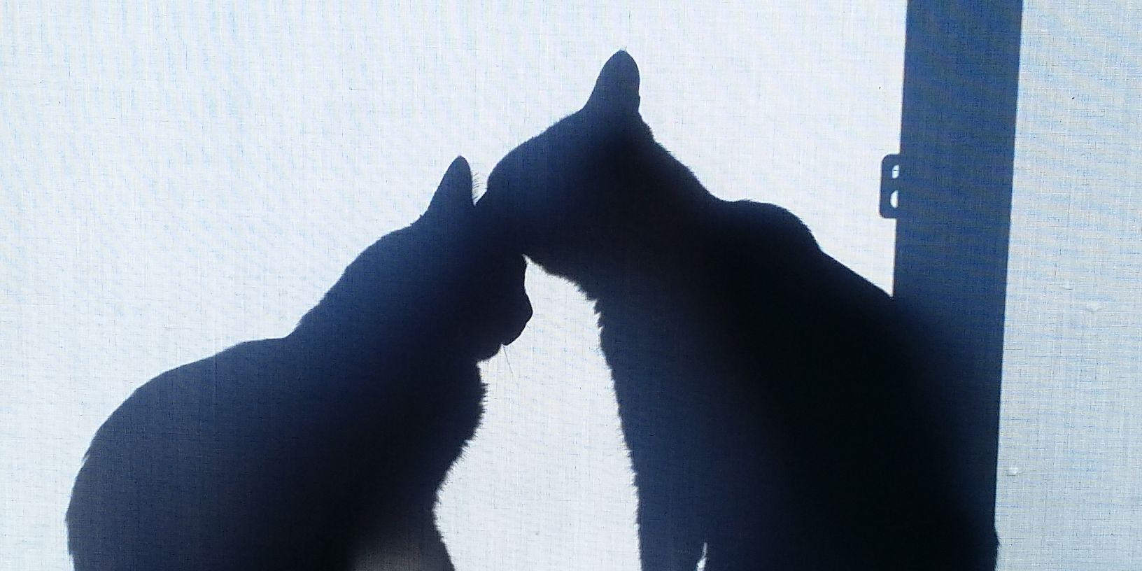 FrozenFriends banner