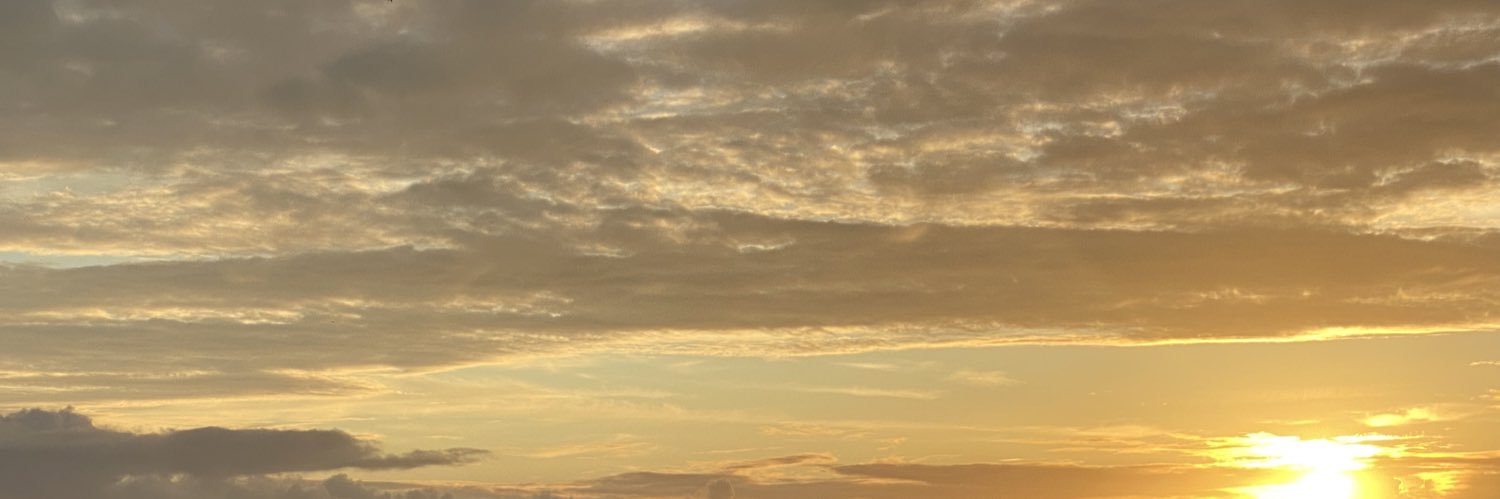 lebralex1's profile banner image