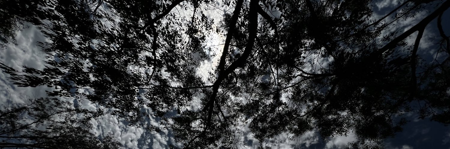 vibesx__'s profile banner image