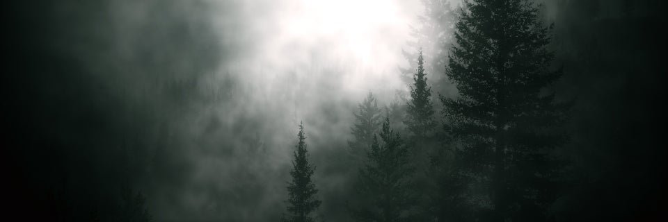 DustyGuyy's profile banner image