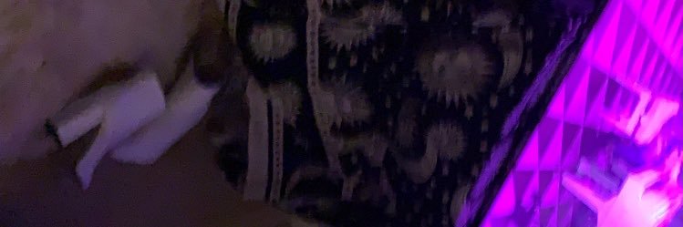 witmer_mads's profile banner image