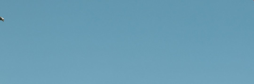 Al_BashirM's profile banner image