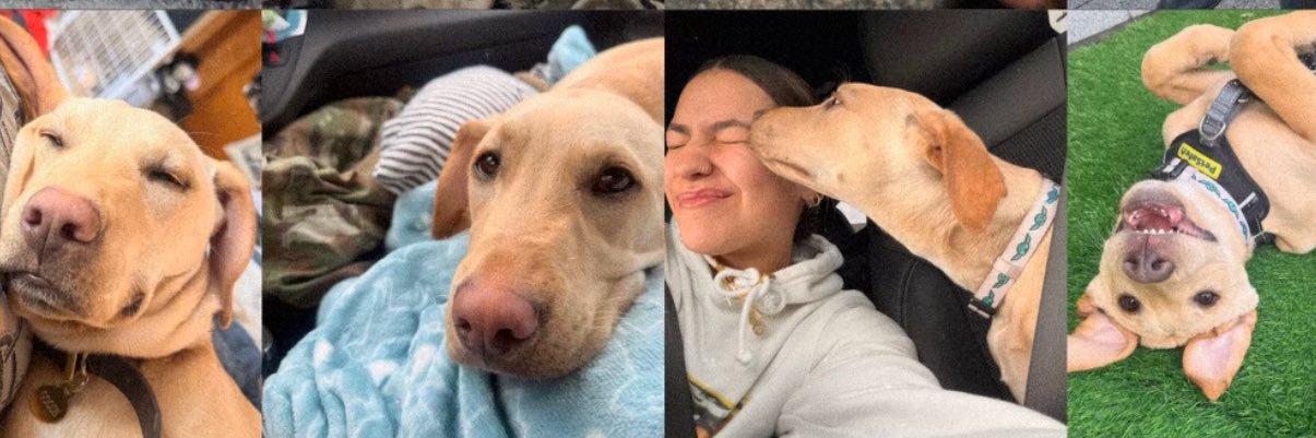 Angeliqueee_19's profile banner image