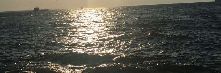 Seymaaali's profile banner image