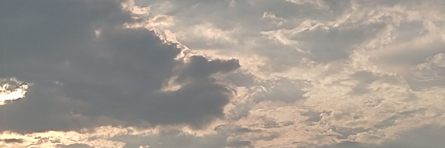 shiinta1004's profile banner image