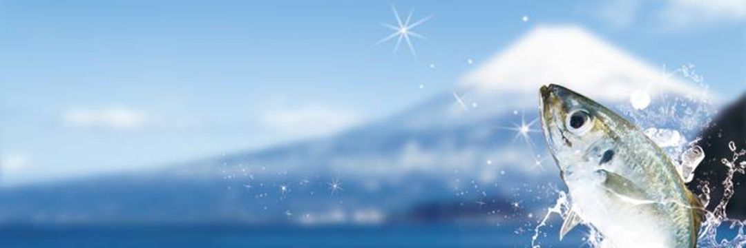hanitari28's profile banner image