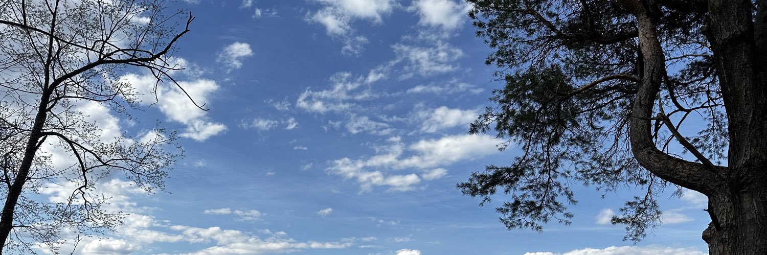 TMartone4's profile banner image
