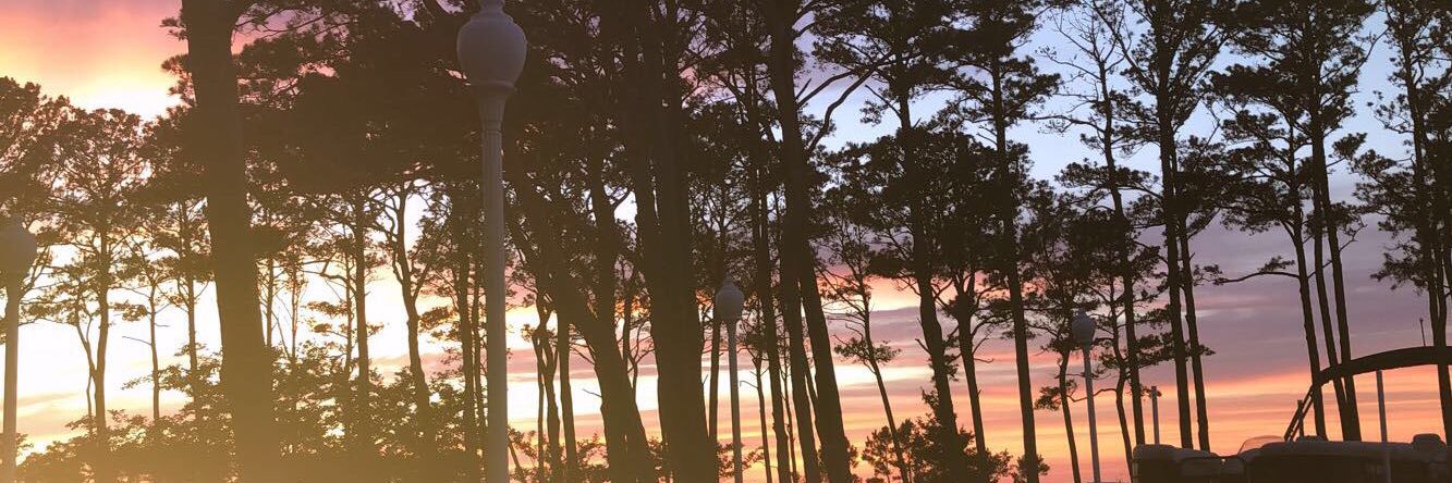 AMcEllroy's profile banner image