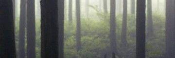 Gabriel_RSB's profile banner image