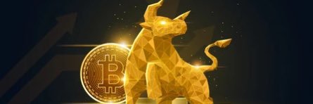 SatAlexFerguson's profile banner image
