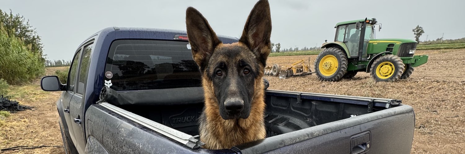 maxiferrer166's profile banner image