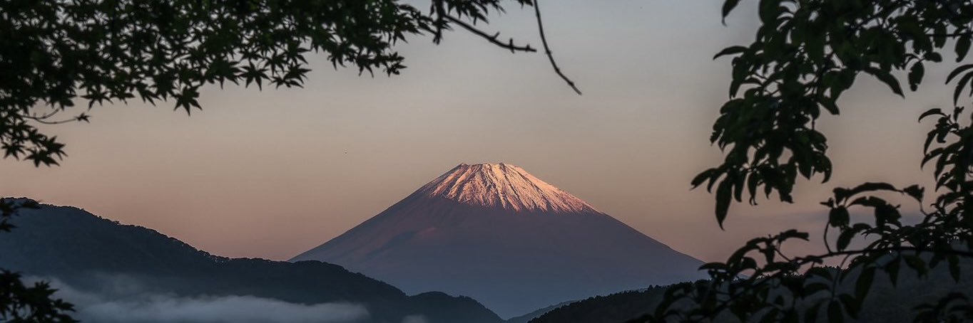 Jelle de Vries banner