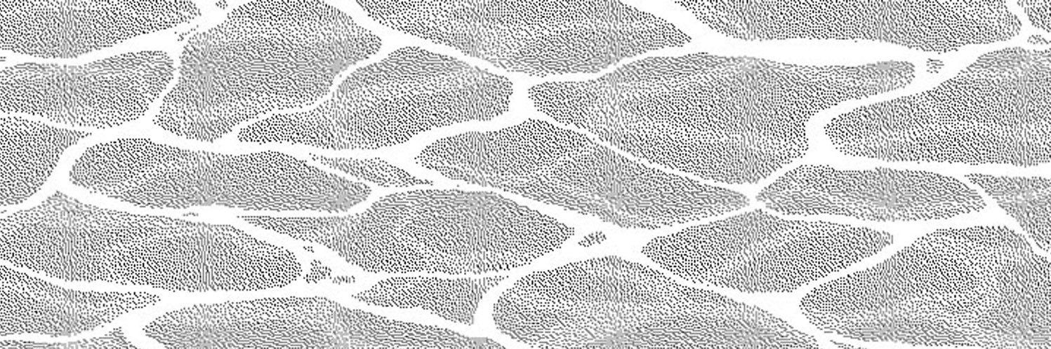 425_101's profile banner image