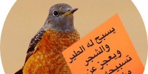 896_zxd's profile banner image