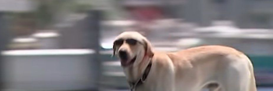 walledespierto's profile banner image