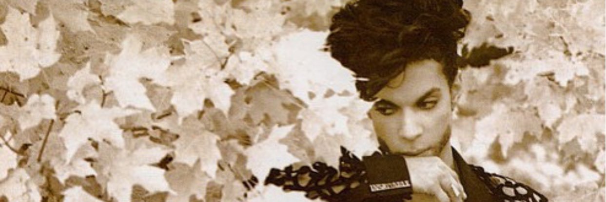 IamMyss's profile banner image