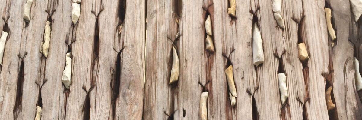 fatma8580uk's profile banner image