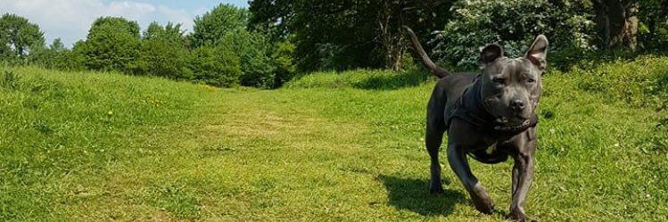 Byron_Lye69's profile banner image