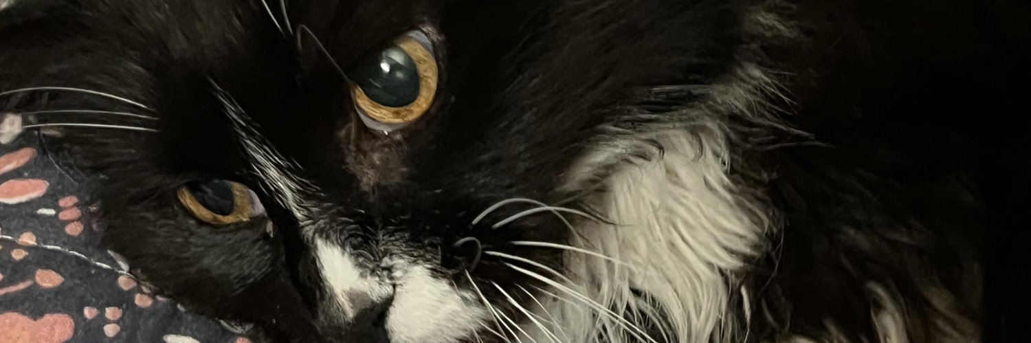 pattyh65's profile banner image