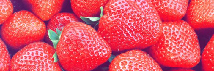 FifthFresas's profile banner image