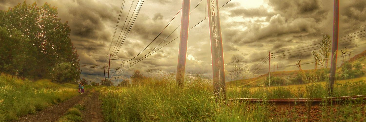 schmidtolla's profile banner image