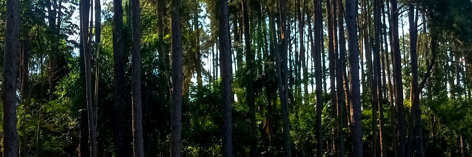 ChapacChapa's profile banner image