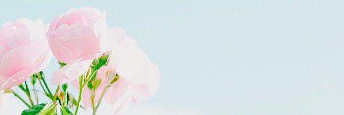 Viki_Samuel's profile banner image