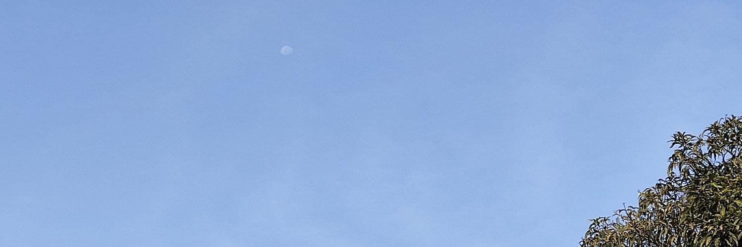 carlos santana banner