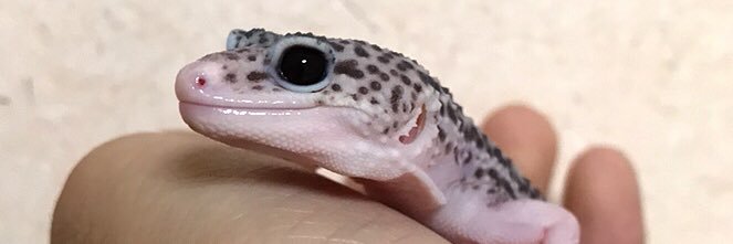 eureka4614's profile banner image