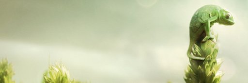 ihohenheim's profile banner image