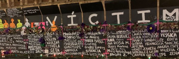 aleruro Profile Banner