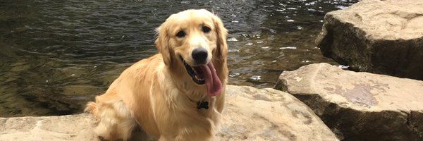 Smitt_ Profile Banner