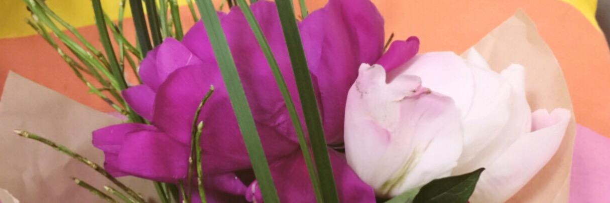 Um_7amany's profile banner image